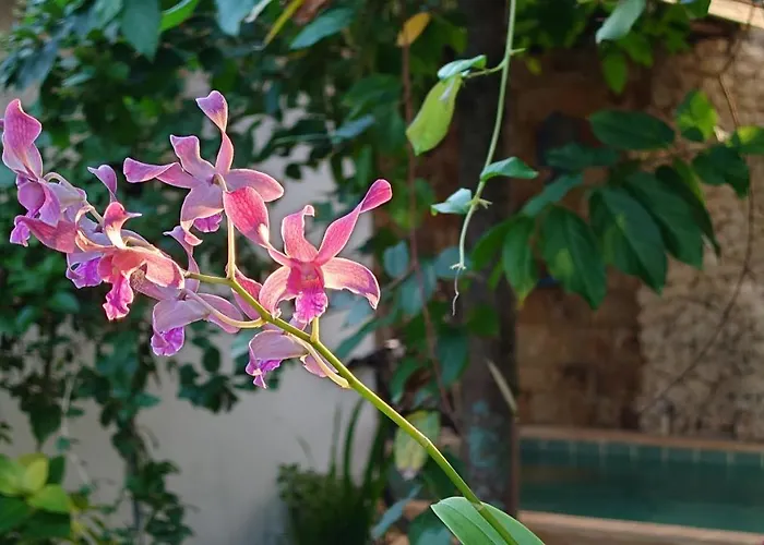 Séjour chez l'habitant Bale Asri Bukit Jimbaran