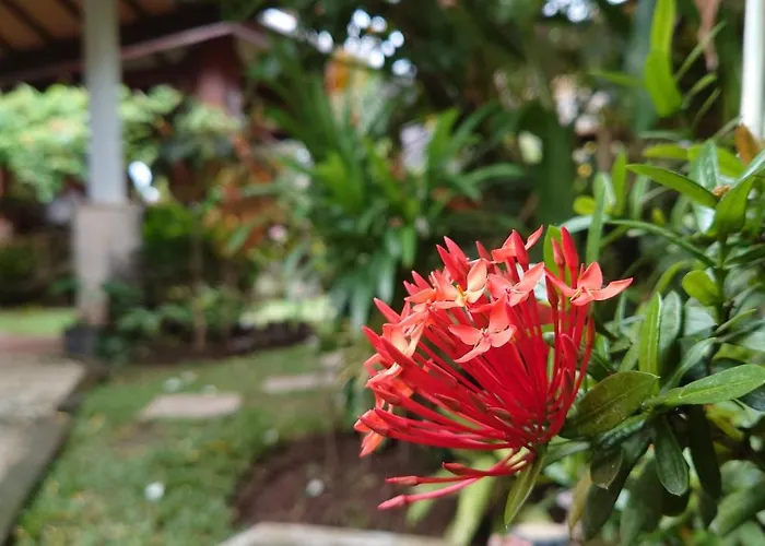 Bale Asri Bukit Séjour chez l'habitant Jimbaran